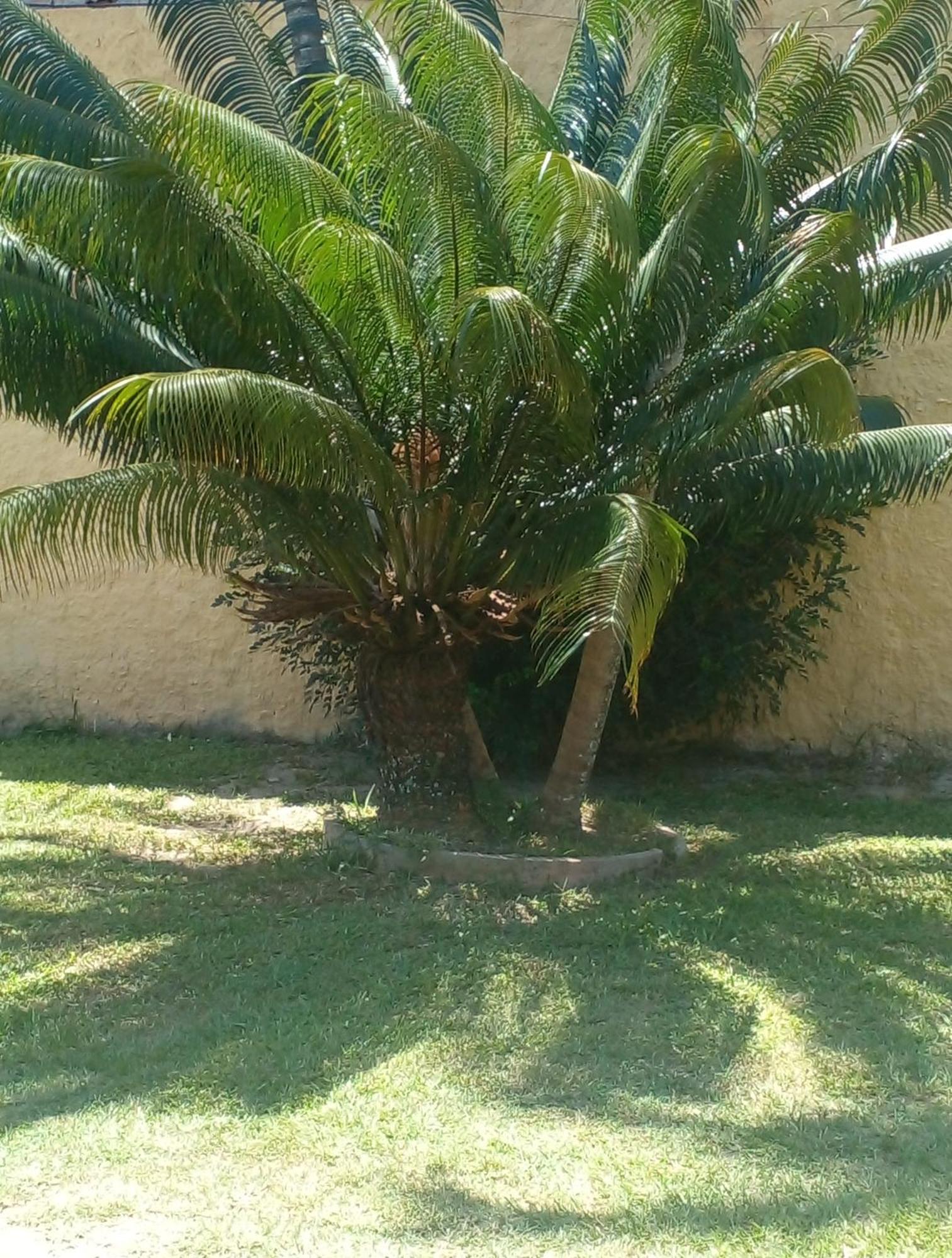 Apartamento Ap Buzios Exterior foto